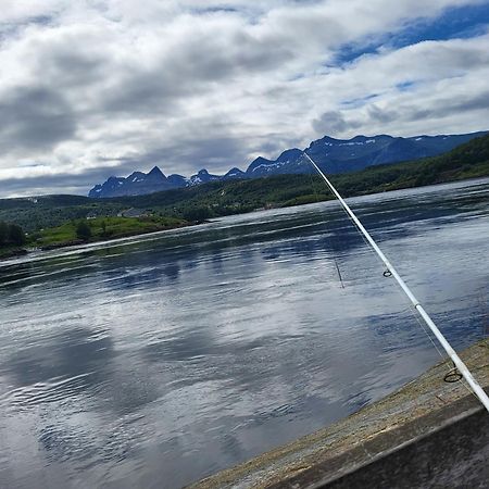 Sokkelleilighet Rett Ved Saltstraumen Bodø Exterior foto