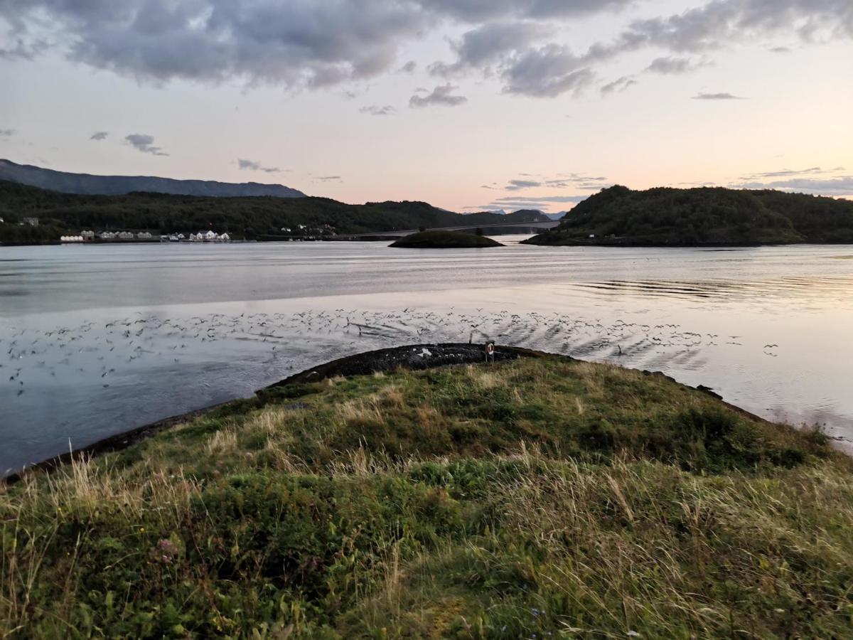Sokkelleilighet Rett Ved Saltstraumen Bodø Exterior foto